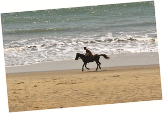 Illustration for article titled Bangladesh’s Cox’s Bazar : A Paradise Being Lost !